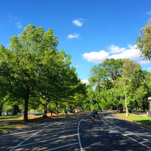 Cyclists on the loop in Prospect Park
